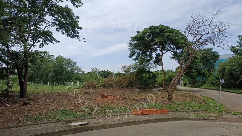 Land for sale : Land for sale in Sivalee Village 1, Rangsit Khlong 2, location near Future Park Rangsit, Dream World Amusement Park.