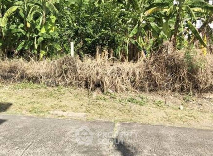 Land for sale, 80 sq wah, Bang Khen