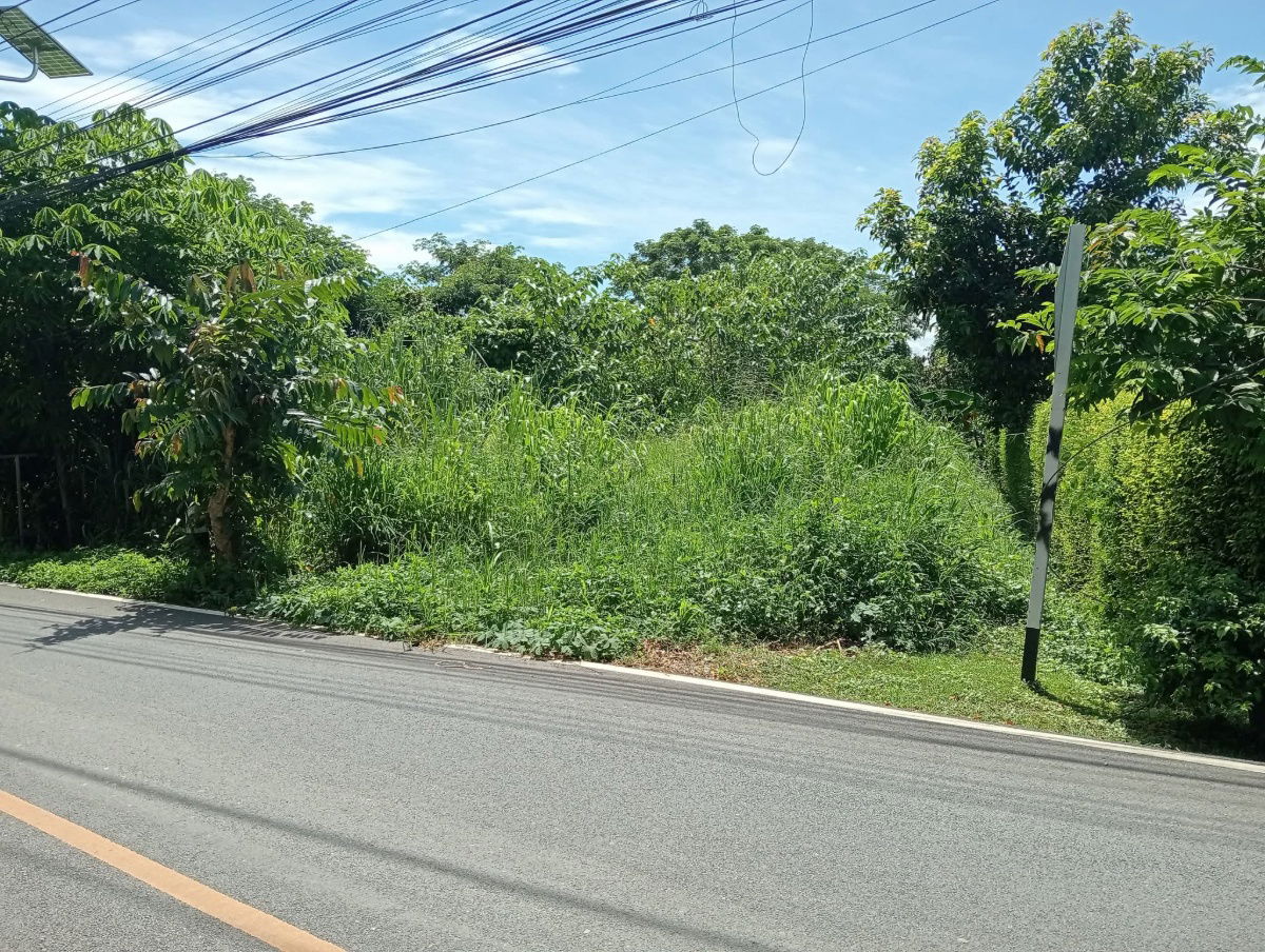 รูป ขายที่ดินตำบลน้ำแพร่หางดงติดถนนคอนกรีตโฉนด - รูปที่ 2/4