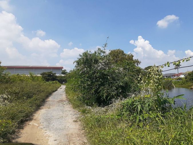 ขายที่ดิน 7446 ตร.ว. เขตมีนบุรี