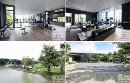 รูป ให้ เช่าบ้านเดี่ยว Mantana Srinakarin - Bangna 200 ตรม 82 ตรว  ซอยวัดหนามแดง ใกล้เมกะบางนา เพียง 4 นาที และ ใกล้สถานีรถไฟฟ้าศรีด่าน - รูปที่ 8/12