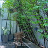 listing thumbnail image 26