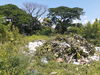 listing thumbnail image 4