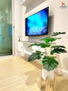 listing thumbnail image 2