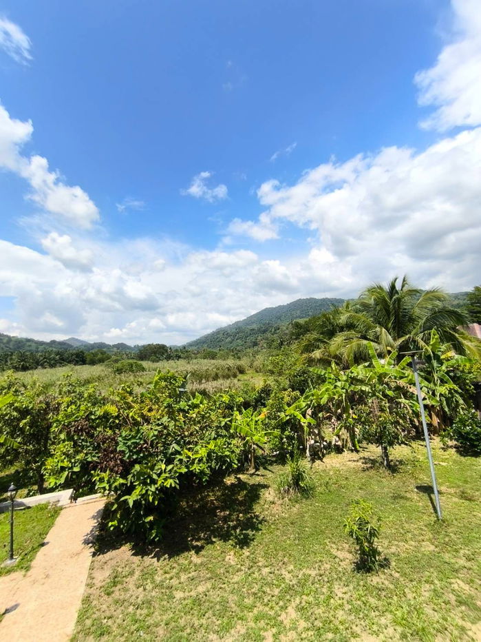 รูป ขายด่วนมาก บ้านเดี่ยวพร้อมที่ดินระนอง วิวสวยทะเลดีมาก บรรยากาศดี ใกล้ ถ.เพชรเกษม - รูปที่ 14/15