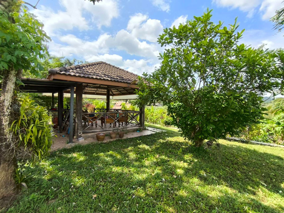 รูป ขายด่วนมาก บ้านเดี่ยวพร้อมที่ดินระนอง วิวสวยทะเลดีมาก บรรยากาศดี ใกล้ ถ.เพชรเกษม - รูปที่ 4/15