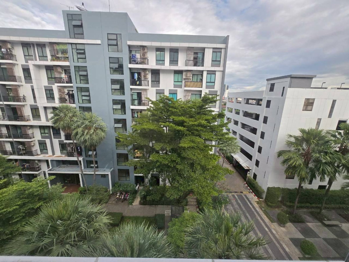 รูป ให้เช่า ไอ คอนโด สุขุมวิท 105 / iCondo Sukhumvit 105  (ห้องใหม่ไม่เคยปล่อยเช่าค่ะ / เครื่องใช้ไฟฟ้าซื้อให้ใหม่ทั้งหมด) - รูปที่ 14/20