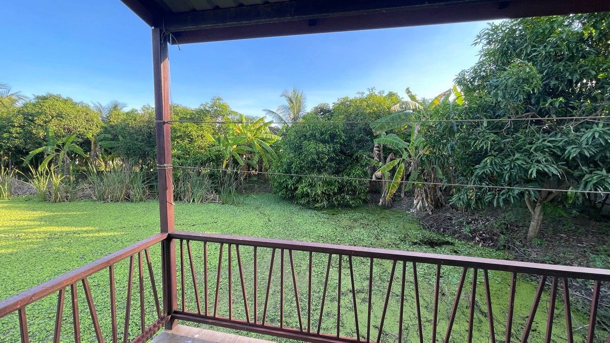 รูป ขายที่ดิน 2 ไร่ หนองจอก พร้อมบ้านเดี่ยว 2 ชั้นเหมาะทำบ้านสวน หรือคาเฟ่  - รูปที่ 9/24