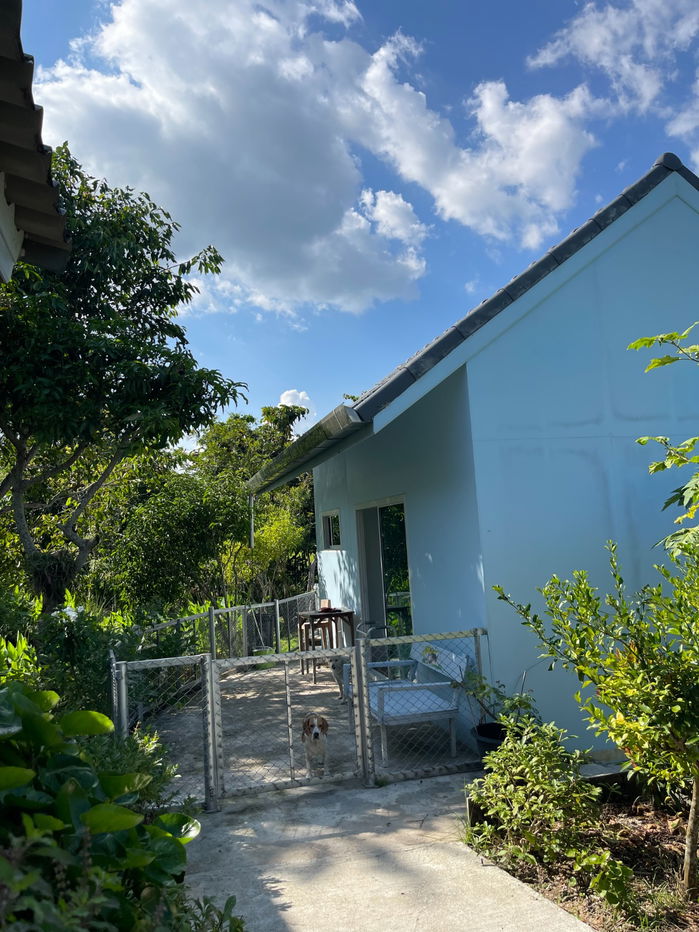 picture Home with 360° Mountain Views – Doi Luang Chiang Dao Land Size: 1 Rai 69 Sq. W. Fully Furnished | Move-in Ready | Agricultural Zone - 17/19