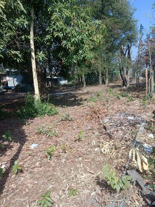 รูป ขายที่ดิน 229 ตรว (อ.เมือง จ.มุกดาหาร)  ถนนบ้านเขามโนรมย์ ทำเลดี เดินทางสะดวก ใกล้แหล่งชุมชน ขาย 1.5 ล้าน  โทร 093-9594717, 098-5596256 - รูปที่ 3/5