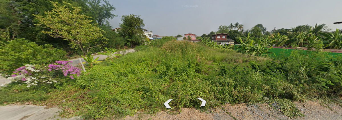 รูป ที่ดินซอยเพชรเกษม 88 แปลงสวยหน้ากว้าง 350 ตร.ว. 7นาทีถึง เดอะมอลล์บางแค - รูปที่ 3/3