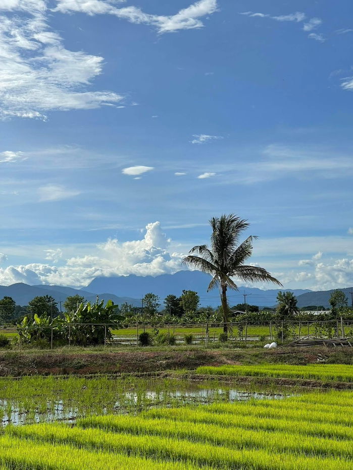picture Home with 360° Mountain Views – Doi Luang Chiang Dao Land Size: 1 Rai 69 Sq. W. Fully Furnished | Move-in Ready | Agricultural Zone - 14/19