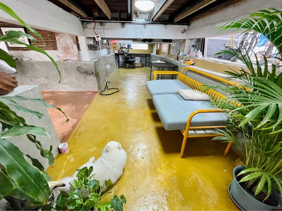 picture rent Single house 2 bed 2 bath at Soi Tiwanon - 3/19