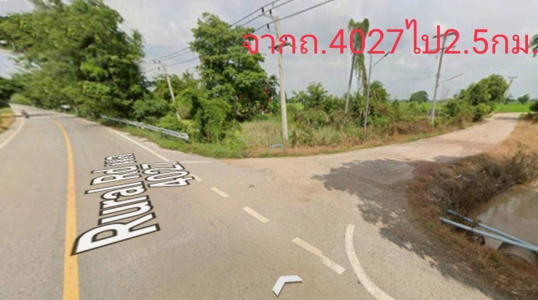 รูป ขายที่นา 11 ไร่ บ้านหางไหล อ.พรหมพิราม พิษณุโลก ห่าง ทล.117 2 กม. - รูปที่ 4/8