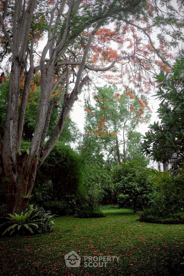 รูป ที่ดินสำหรับปล่อยขาย 7,641.6 ตารางเมตร แถว ใกล้ เมืองเก่า (ID 2369054) - รูปที่ 12/15