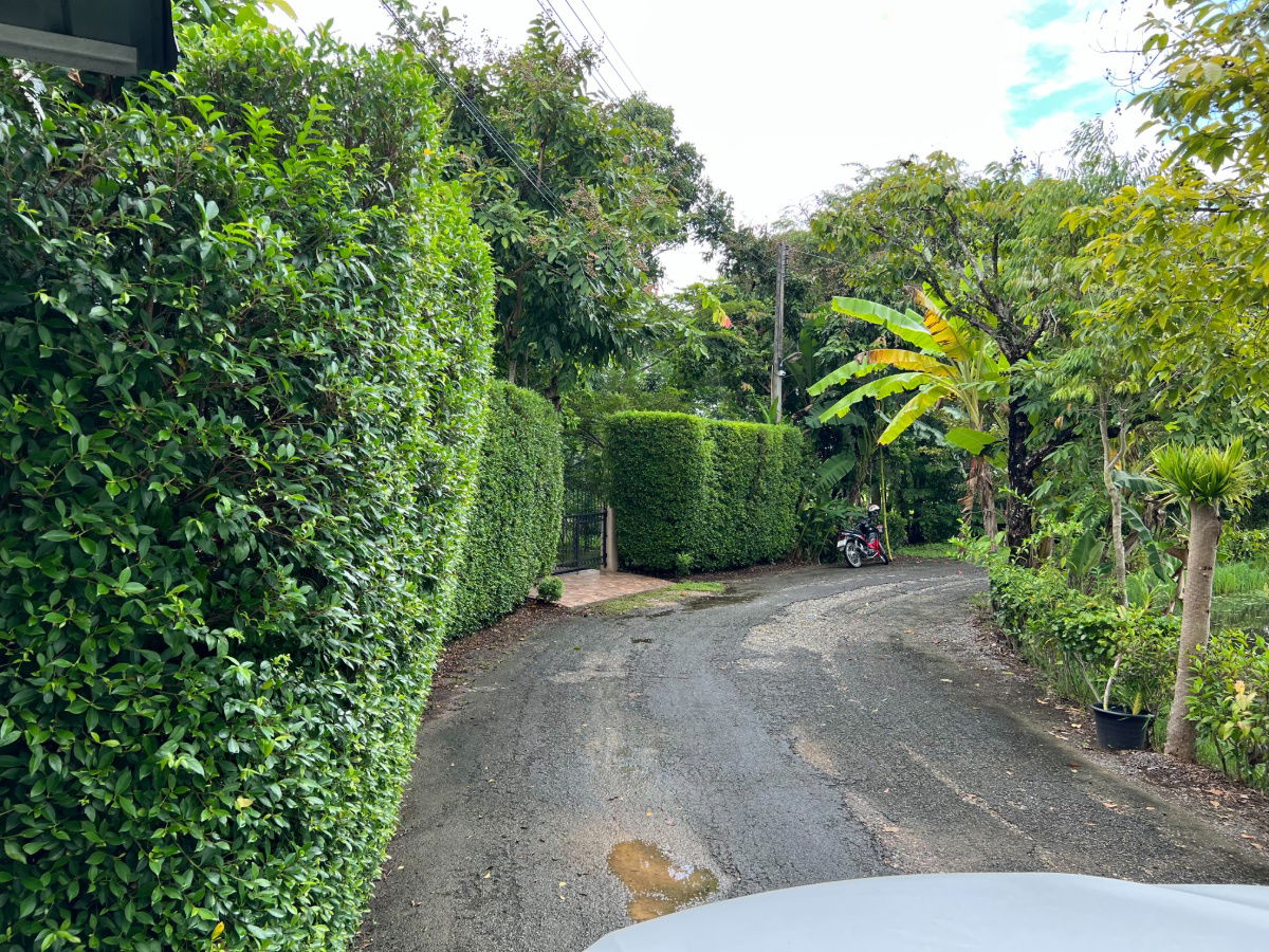 รูป  ขายบ้านเดี่ยวชั้นเดียว  2 ห้องนอน  3 ห้องน้ำ  1 ห้องครัว 2 ที่จอดรถ - รูปที่ 18/19