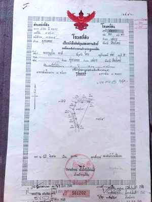 ที่ดิน แม่วาง เชียงใหม่ : ขายที่ดิน อ.แม่วาง  มีไฟฟ้า ถนน  ประปา