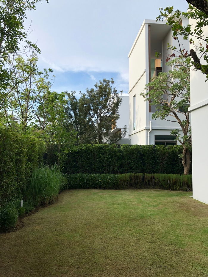 picture 🏡😊 House for rent at Vive Rama 9. Beautifully decorated and ready to move in. 🐶Pets are welcome. - 18/18