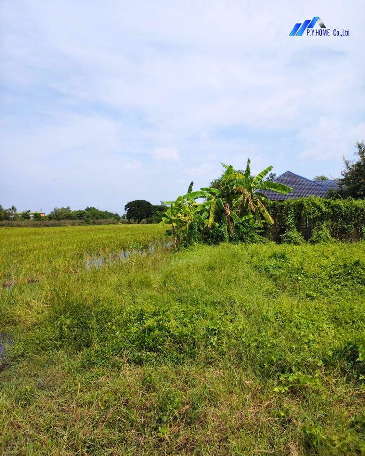 รูป ขายที่ดินซอยคลองห้าตะวันตก 21 ปทุมธานี  - รูปที่ 6/9