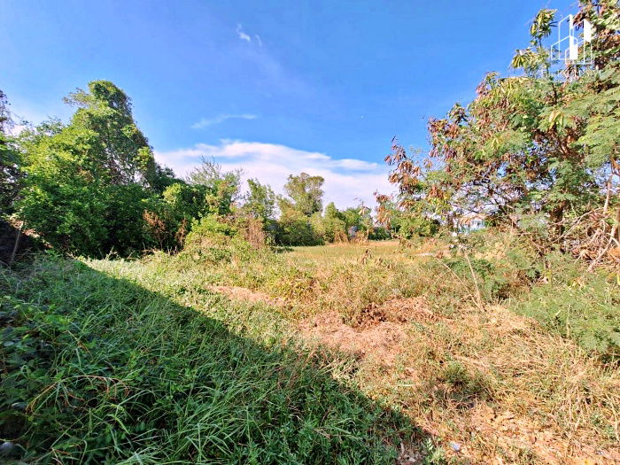 รูป 🏡 ที่ดินถมแล้ว บางปู บีช เฮ้าส์ 103.9 ตร.ว. วิวทะเลบางปู บรรยากาศเงียบสงบ เหมาะสร้างบ้านพักตากอากาศหรือบ้านพักส่วนตัว 🏡 - รูปที่ 4/6