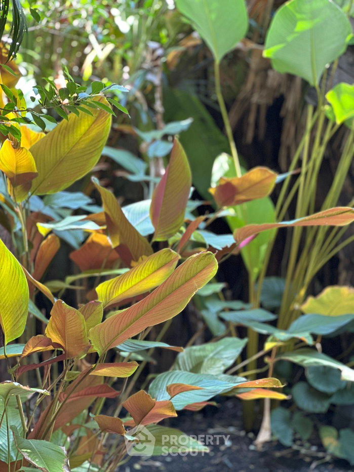 รูป บ้าน 4-ห้องนอน ที่ โนเบิล ทารา พัฒนาการ ใกล้ ARL หัวหมาก (ID 2087122) - รูปที่ 9/10