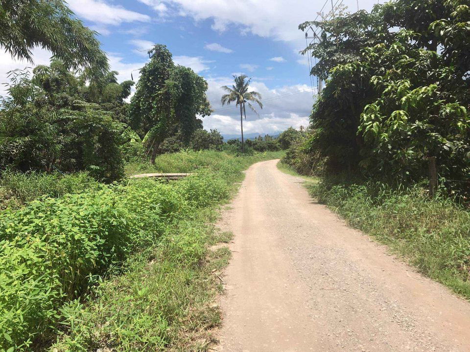 รูป ขายที่ดิน อ.แม่วาง  มีไฟฟ้า ถนน  ประปา - รูปที่ 5/9