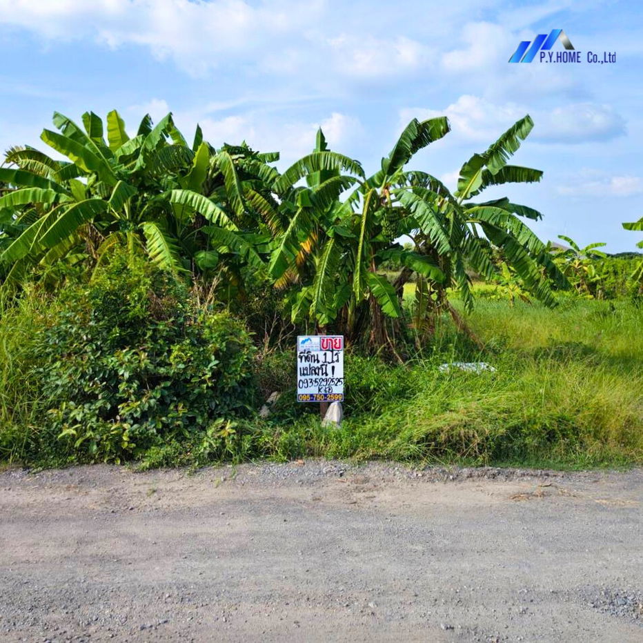 รูป ขายที่ดินซอยคลองห้าตะวันตก 21 ปทุมธานี  - รูปที่ 2/9