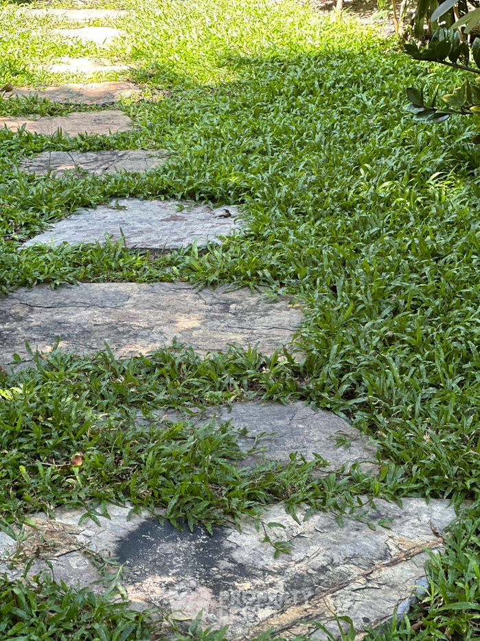 รูป บ้าน 4-ห้องนอน ที่ โนเบิล ทารา พัฒนาการ ใกล้ ARL หัวหมาก (ID 2087122) - รูปที่ 10/10