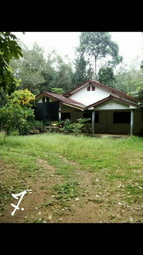 Rubber Plantation (9-2-38 Rai) + 3-Bedroom House, just 3 km from Suan Son Beach