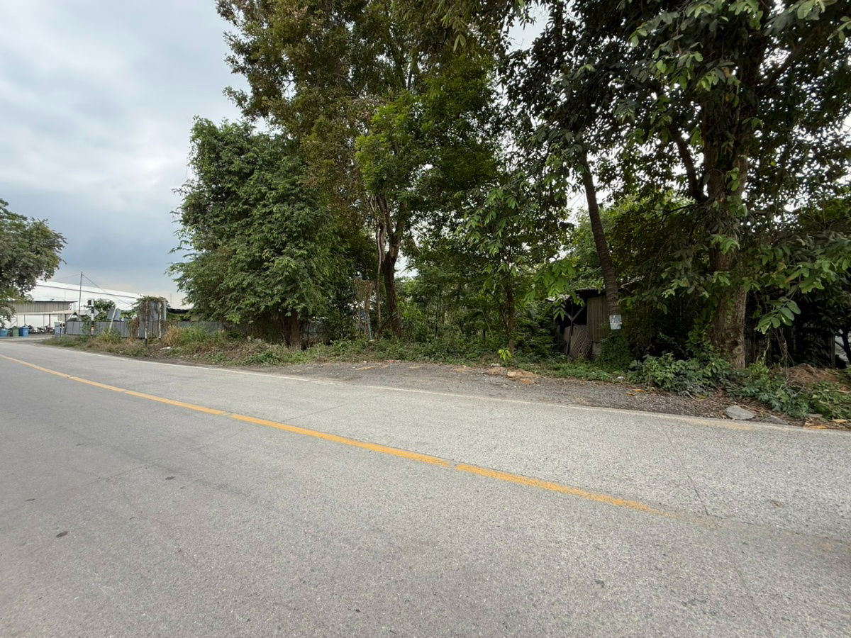 รูป ขายที่ดินเปล่า !! ต.หนองขาม อ.ศรีราชา จ.ชลบุรี - รูปที่ 3/4