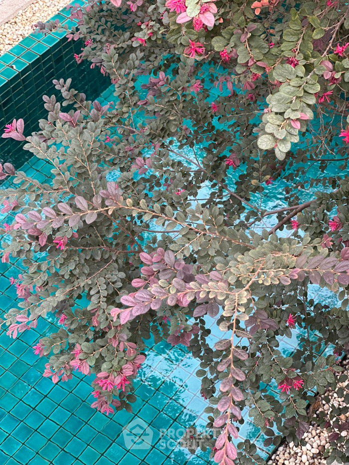 รูป บ้าน 4-ห้องนอน ที่ โนเบิล ทารา พัฒนาการ ใกล้ ARL หัวหมาก (ID 2087122) - รูปที่ 7/10