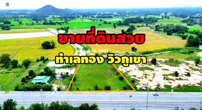 ที่ดิน อุทัยธานี : ขายที่ดิน เนื้อที่ 2-2-96 ไร่ ต.หนองนางนวล อ.หนองฉาง จ.อุทัยธานี