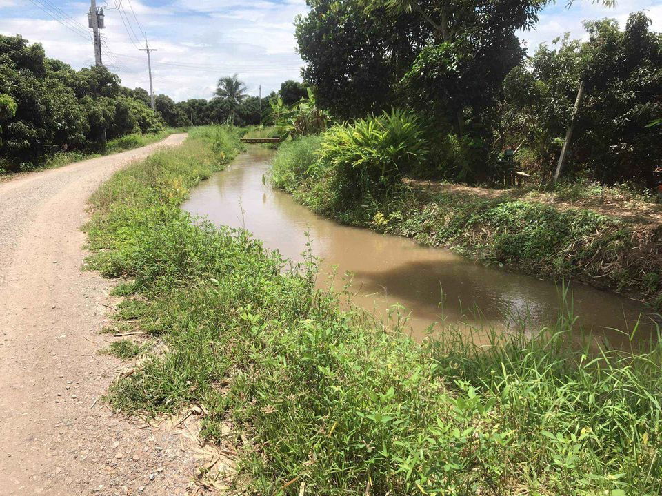 รูป ขายที่ดิน อ.แม่วาง  มีไฟฟ้า ถนน  ประปา - รูปที่ 8/9