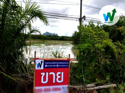 ที่ดิน ควนขนุน พัทลุง : ขายที่ดิน 7 ไร่ 3 ตารางวา ใน มะกอกเหนือ, ควนขนุน, พัทลุง