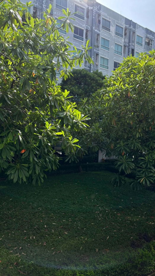 รูป 🏠RB21271 ให้เช่าถูกมาก📢เดอะ คิทท์ พลัส นวมินทร์👉🏻แอดไลน์ @062mnigk( มี @ ด้วย) แอดมินตอบไว - รูปที่ 2/5