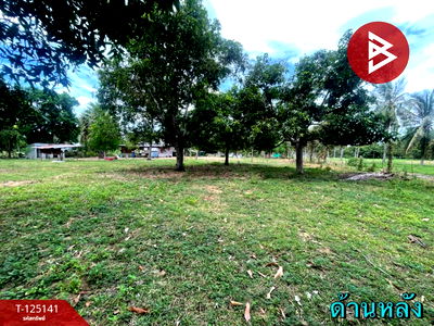 ขายที่ดิน : ขายที่ดิน สามร้อยยอด ประจวบคีรีขันธ์ 4 ไร่ 2 งาน 59 ตารางวา ใกล้ทะเล 200 เมตร 