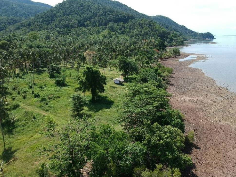 รูป ขายที่ดินเกาะช้างใต้19ไร่3งาน 0819964595 K.เจี๊ยบ - รูปที่ 13/14