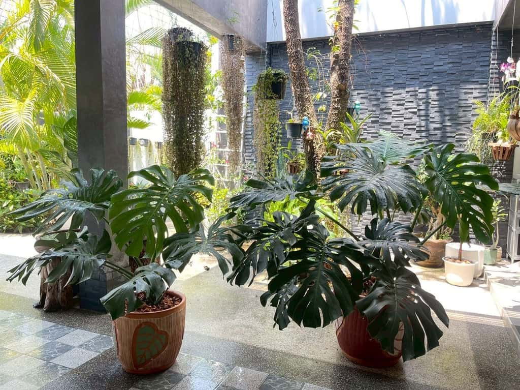 picture Modern 4-Bedroom Pool Villa in Wang Tan Village Project - 8/15