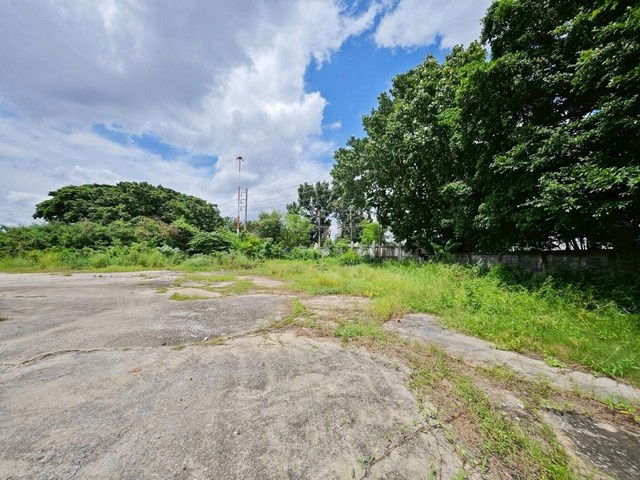 รูป TD1153 ขายที่ดินแปลงงาม ย่านรังสิต กรุงเทพมหานคร - รูปที่ 4/8