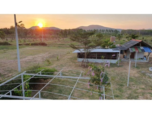 รูป ที่ดิน 109 ไร่ ต.บ่อนอก อ.เมือง จ.ประจวบฯ - รูปที่ 5/10