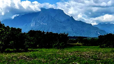 Land for sale Chiang Dao : Land with mountain view, Doi Luang Chiang Dao mountain view, Chiang Mai Province, suitable for a resort or house, price 650,000