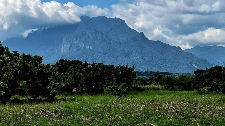 ที่ดินวิวเขา เห็นวิวเขาดอยหลวงเชียงดาว จ.เชียงใหม่ เหมาะทำรีสอร์ท บ้านพัก ราคา 650,000