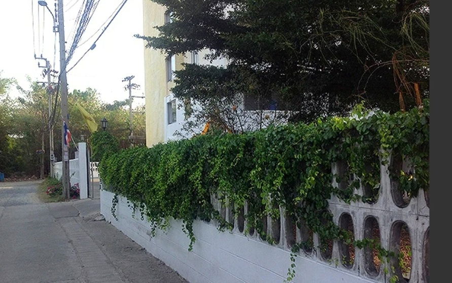 รูป ขาย อพาร์ทเม้นท์ สุขุมวิท 72 ที่ดิน เนื้อที่ 874 ตร.วา พร้อมอาคาร 8 ชั้น ใกล้ UNIO สุขุมวิท 72, BTS แบริ่ง ราคา 130 ล้านบาท - รูปที่ 4/6