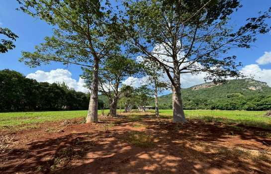 รูป ขาย ที่ดินเปล่า เขาใหญ่ ถ.ธนะรัชต์ เหมาะสร้าง รีสอร์ท โรงแรม คอนโด สถานที่ท่องเที่ยว  32-1-96 ไร่ - รูปที่ 5/9