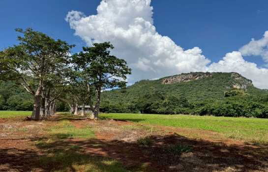 รูป ขาย ที่ดินเปล่า เขาใหญ่ ถ.ธนะรัชต์ เหมาะสร้าง รีสอร์ท โรงแรม คอนโด สถานที่ท่องเที่ยว  32-1-96 ไร่ - รูปที่ 4/9