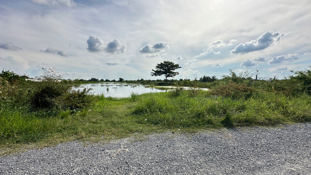 รูป ขายที่ดินเปล่า เนื้อที่ 23-1-96 ไร่ ถนนสารีบุตร แขวงทับยาว เขตลาดกระบัง กทม. - รูปที่ 9/13