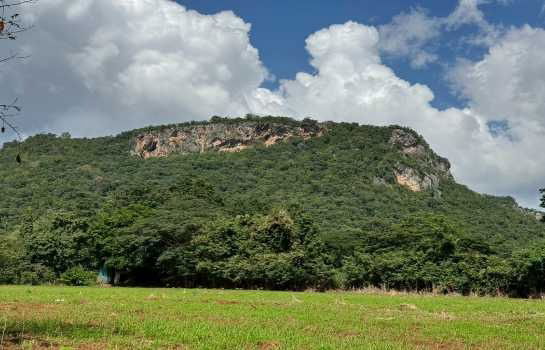 รูป ขาย ที่ดินเปล่า เขาใหญ่ ถ.ธนะรัชต์ เหมาะสร้าง รีสอร์ท โรงแรม คอนโด สถานที่ท่องเที่ยว  32-1-96 ไร่ - รูปที่ 2/9