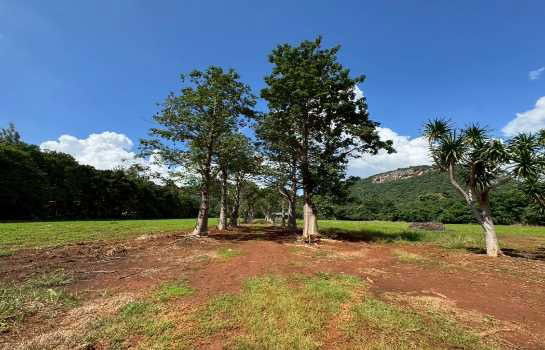 รูป ขาย ที่ดินเปล่า เขาใหญ่ ถ.ธนะรัชต์ เหมาะสร้าง รีสอร์ท โรงแรม คอนโด สถานที่ท่องเที่ยว  32-1-96 ไร่ - รูปที่ 3/9