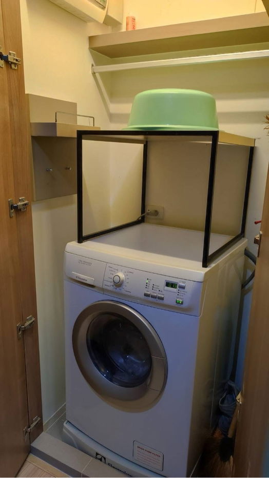 รูป Rhythm sukhumvit 50 ใกล้ bts อ่อนนุช - รูปที่ 7/7