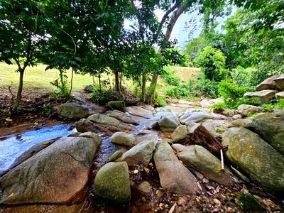 ที่ดิน บ้านค่าย ระยอง : ที่ดินติดลำธาร บรรยากาศธรรมชาติสุดๆ ขนาด 150 ตารางวา 1 ล้าน #ที่นี้บ้านค่าย จ.ระยอง